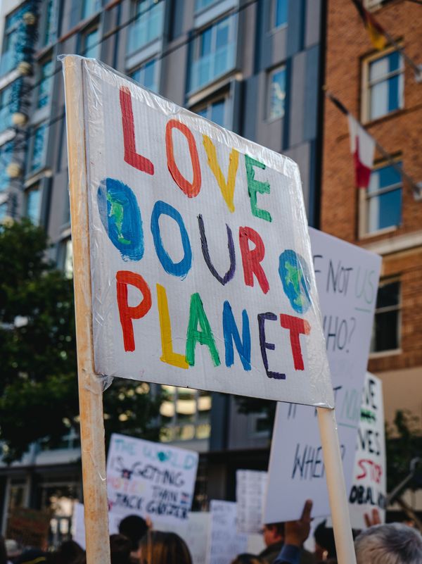 3 Ways You Can Help the Planet, One Day at a Time