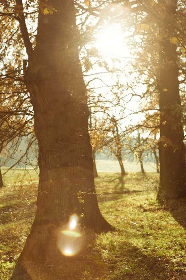 Poetry: Lighter