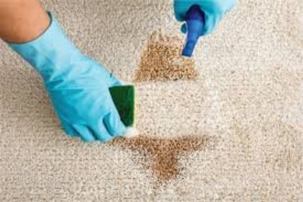 How to Effectively Remove Stains from Your Carpet A Complete Guide
