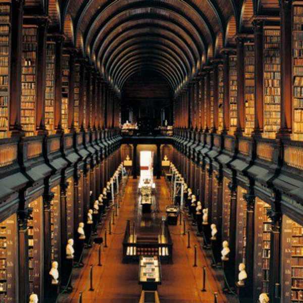 11 Reasons Why the Library is Terribly Underrated