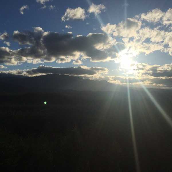 Rays of Sunlight