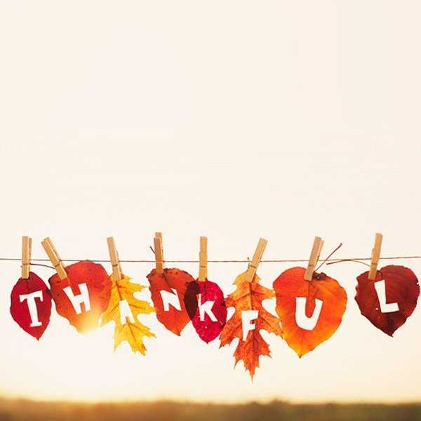 Delicious Thanksgiving Ideas