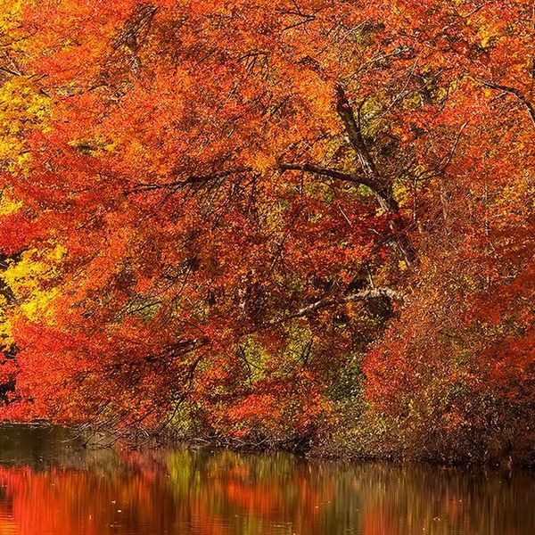 8 Things To Do On A Fall Weekend In NEPA