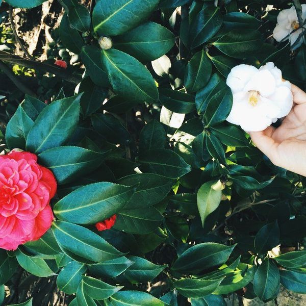 A Tribute To The Lonely Hispanic