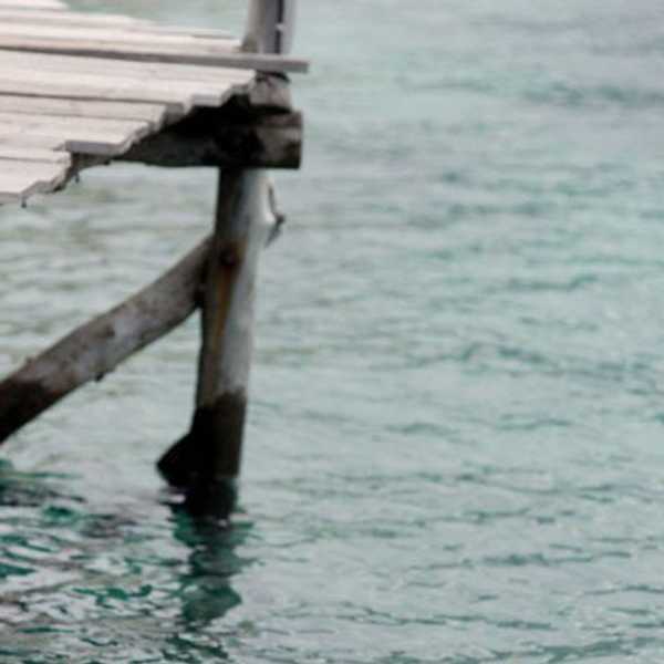 I'm Married To My Online Summer Class