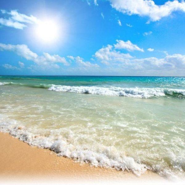 Adventures On The Beach