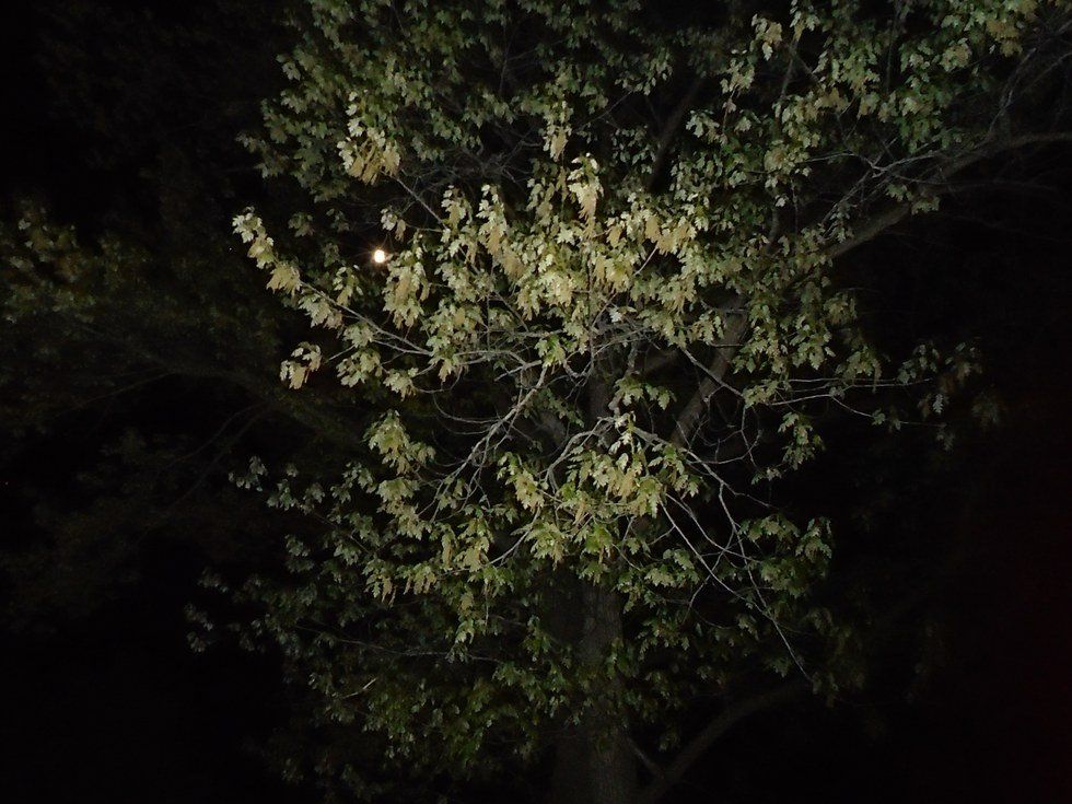 A Guide Through The Labyrinth