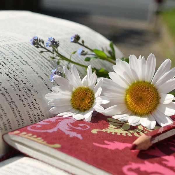 A Biblical View On Beauty