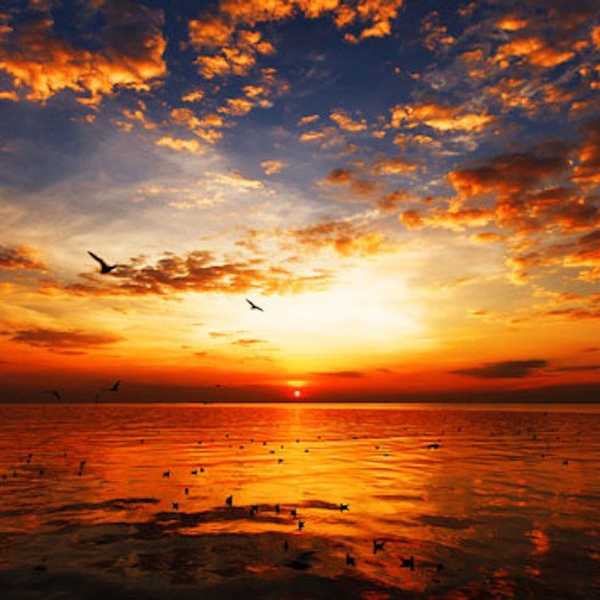 How Do We Know What "Beautiful" Is?