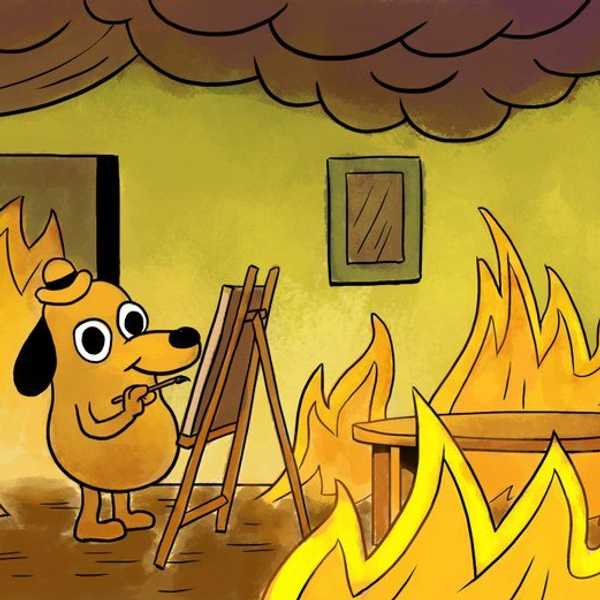 35 Times The 'This Is Fine' Dog Described College