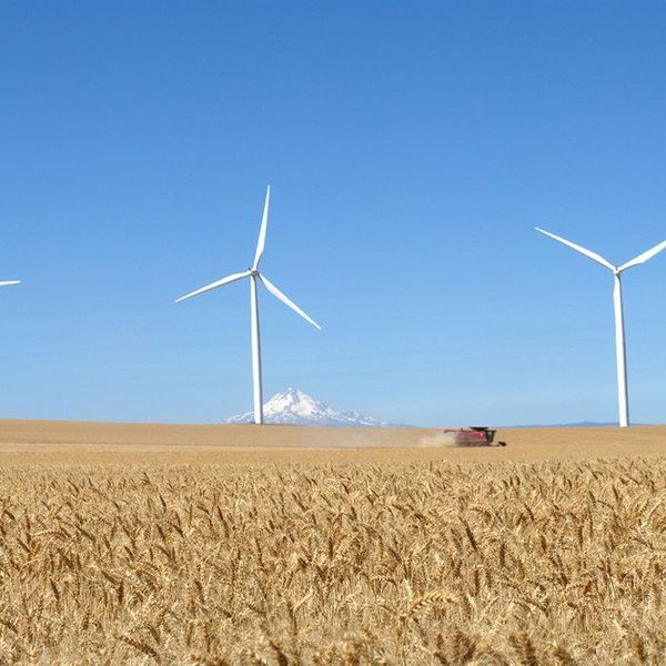 America Needs To Jump On The Renewable Resources Train