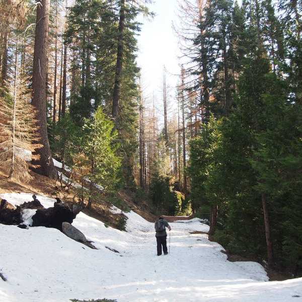 22 Hiking Tips From That Weird Girl Who Lives In The Woods