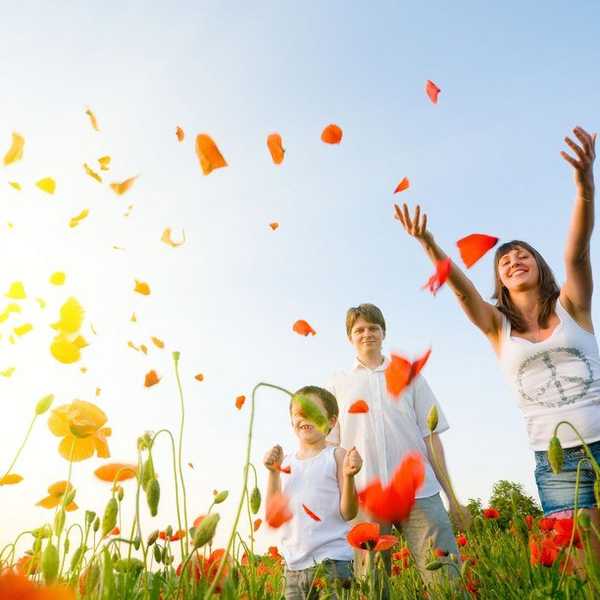 12 Things To Do When It Is Spring In Boston