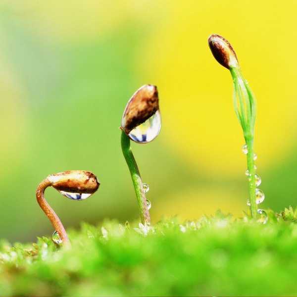 17 Quotes With The Theme Of A New Beginning