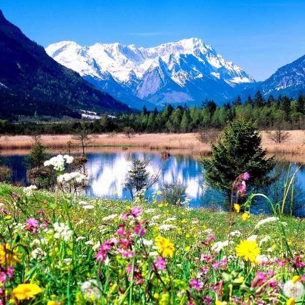 5 Signs It is Finally Spring In Michigan