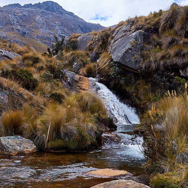 How The Major Floods In Peru Can Change Americans' Lives