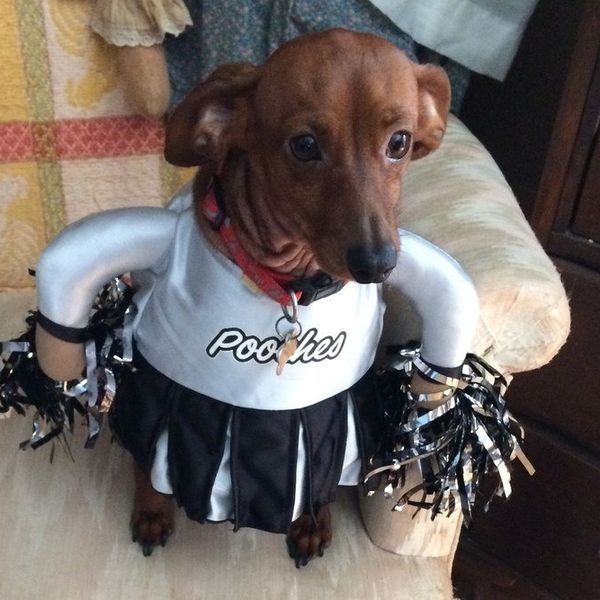 You Know You're A Dog Parent When...