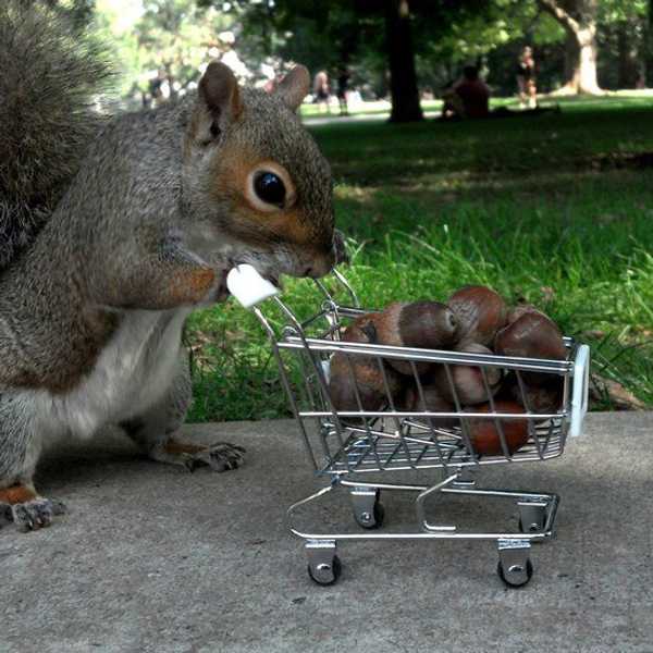 5 Penn State Gen Eds That Won't Drive You Nuts