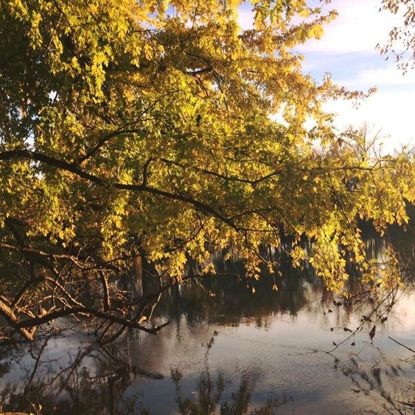 13 Hidden Gems of Bloomington, Minnesota