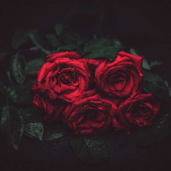 I Watched Beauty And The Beast And Now I'm Gay