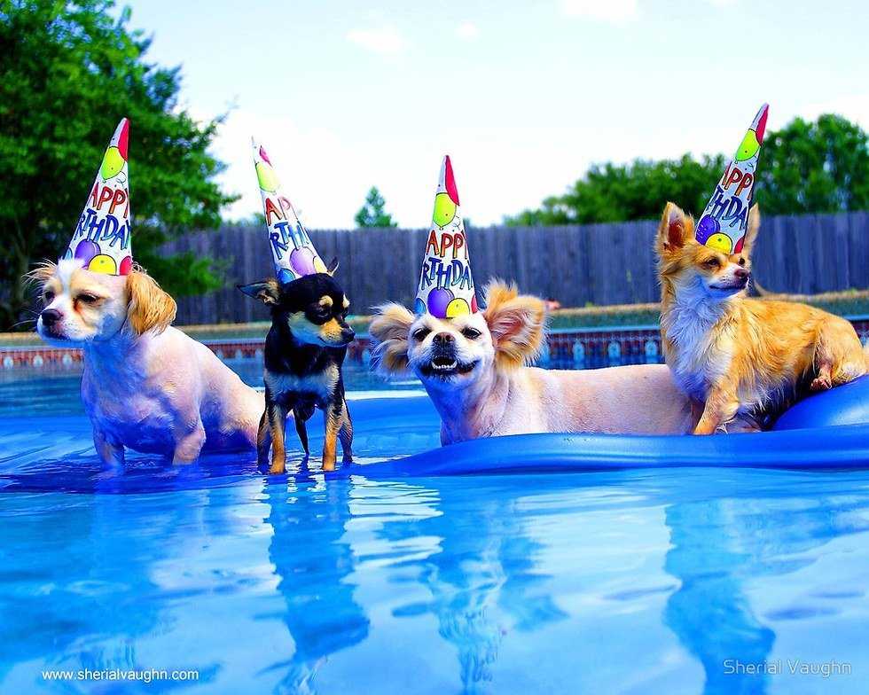 8 Things You Know To Be True If You Are A Summer Baby