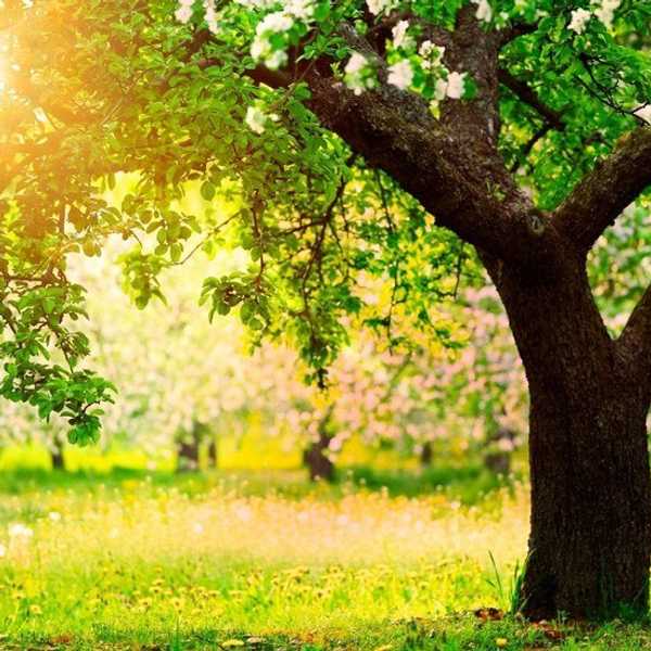 The Spring Break Blues