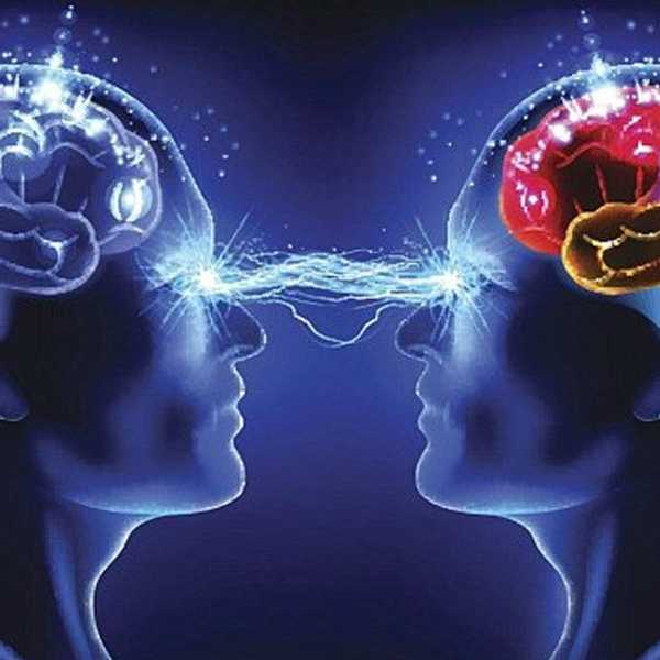 Stop Asking Psychology Majors To Read You