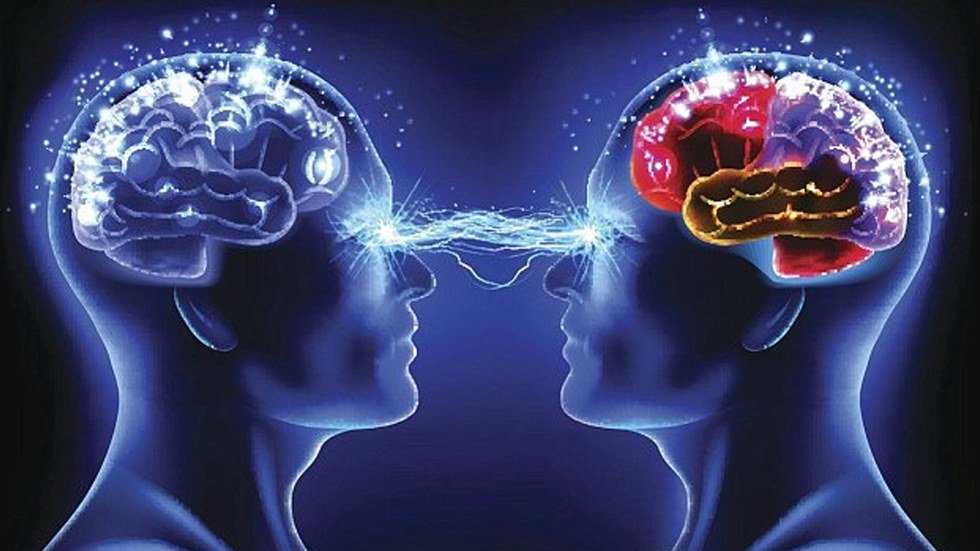 Stop Asking Psychology Majors To Read You