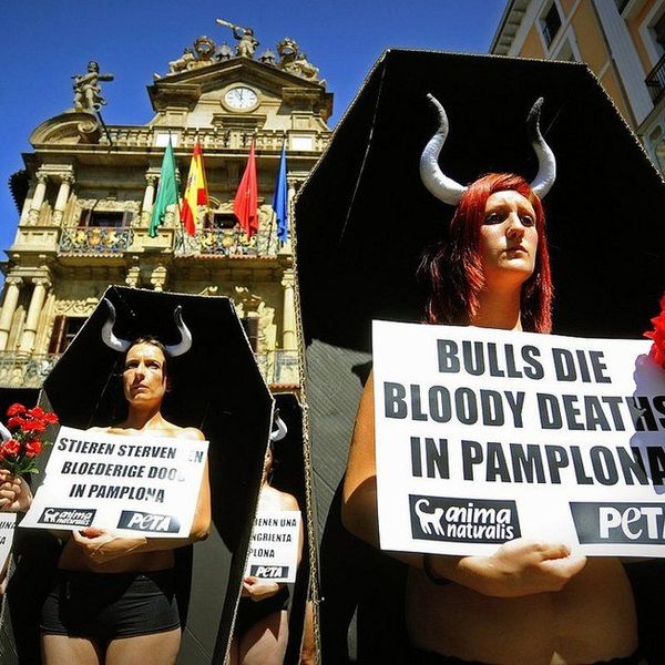 Why This Animal Science Major Cringes Through PETA's Website