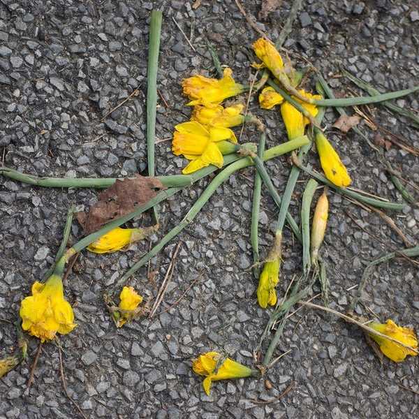 Saving Juliet: Chapter Nine