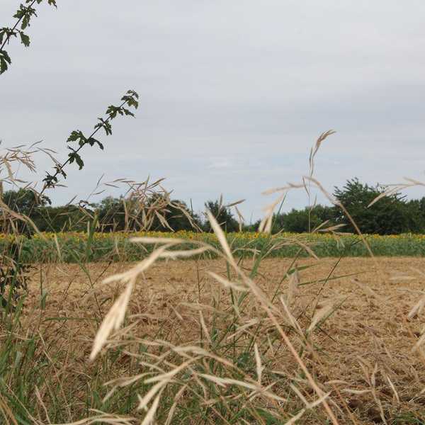 In Praise Of Silence And Trust