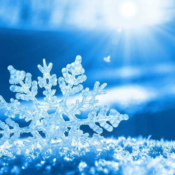 So How About Snowstorm Stella?