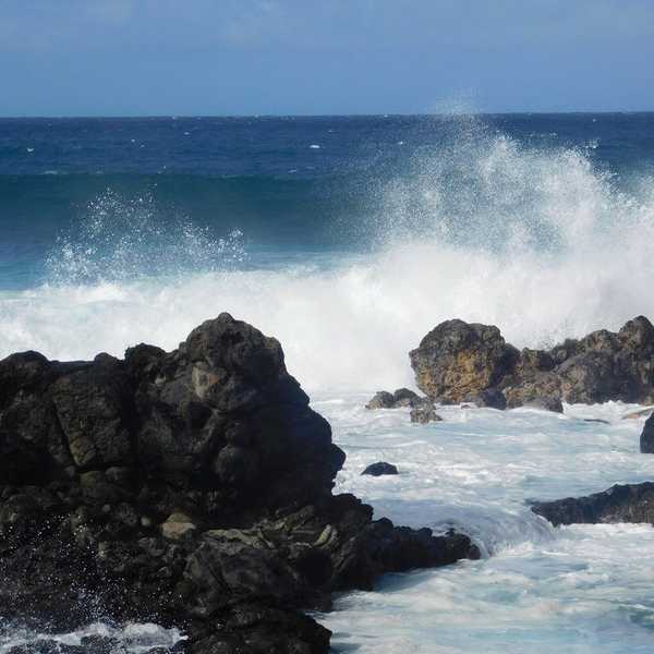 5 Reasons To Seek Mental Health Support