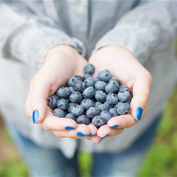 6 Desserts To Restart Your Resolution