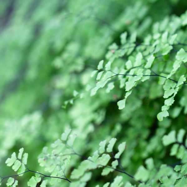 Why I Love the Month of March