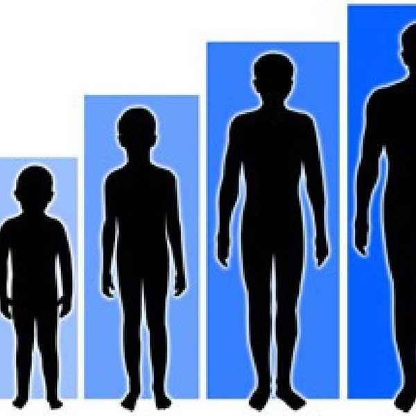 Adulthood & Self-Sufficiency