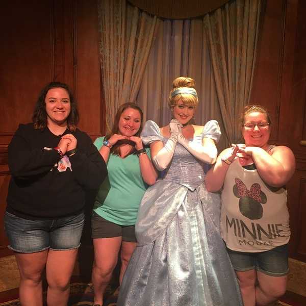 Navigating The New Walt Disney World