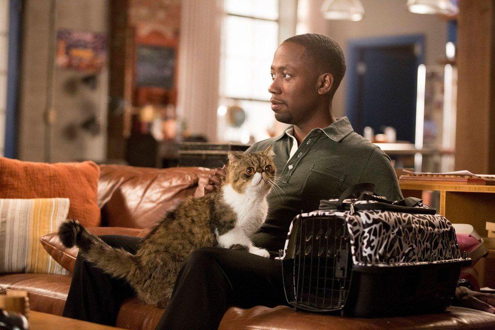 19 Signs You Are Winston Bishop