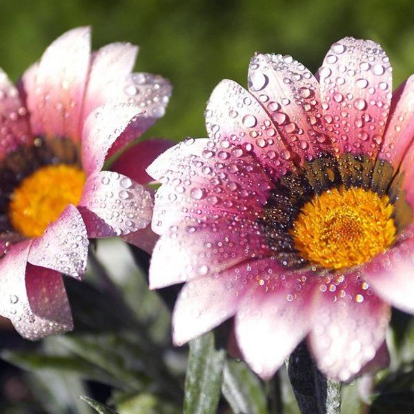 Weather, and all types of it!