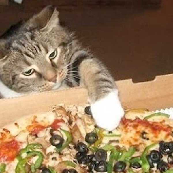 The Definitive Ranking Of The Best Frozen Pizza Brands