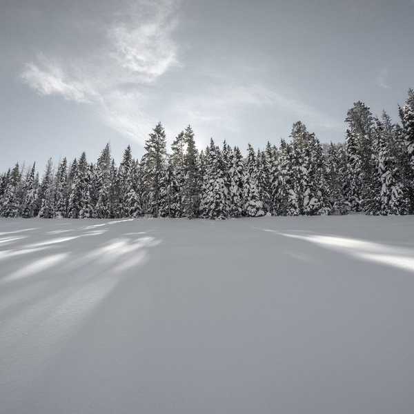 The 4 Season Series Of My Journey With OCD: Winter