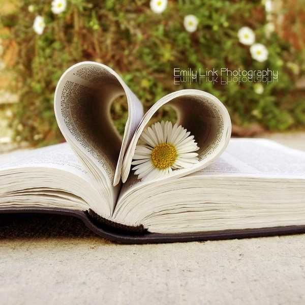 5 of the Best Books to Read This Spring
