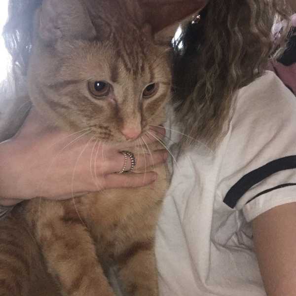 10 Benefits Owning a Pet Can Have on Your Mental Health