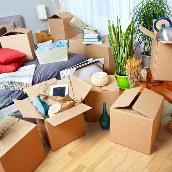 Boxes