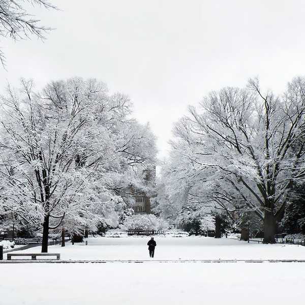Preparing For A Snow Storm