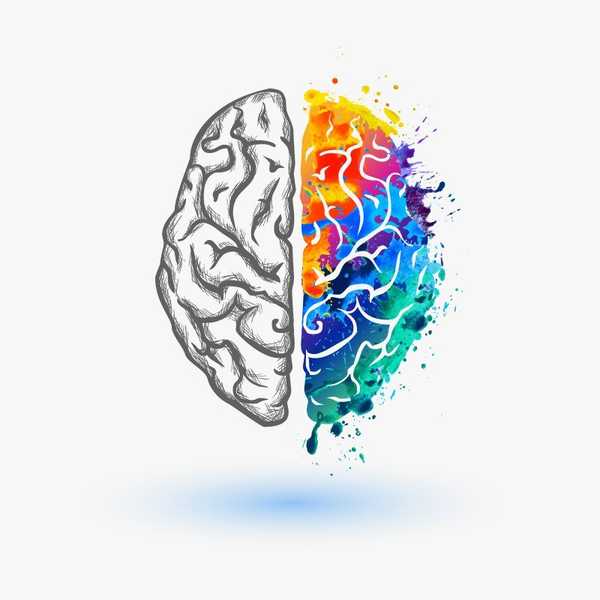 Are You Left- Or Right-Brained? Let's Ask Biology
