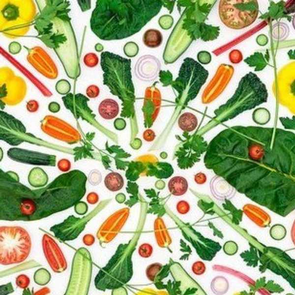 The Truth About Vegans