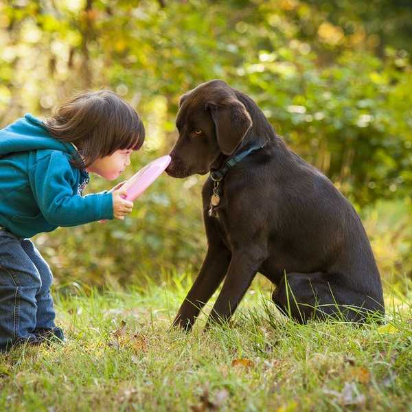 Losing A Pet Is Losing Family