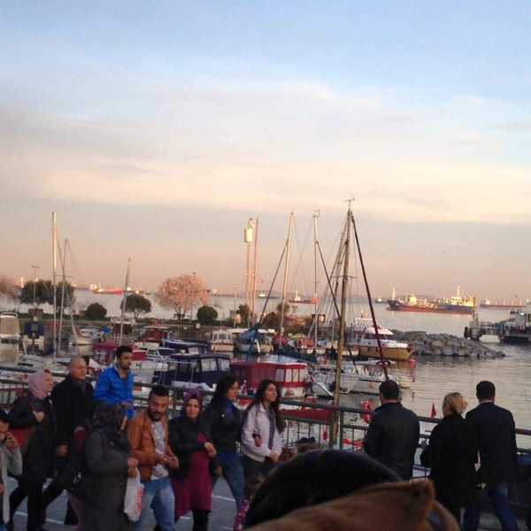 5 Tips To Ensure The Best Preview Experience