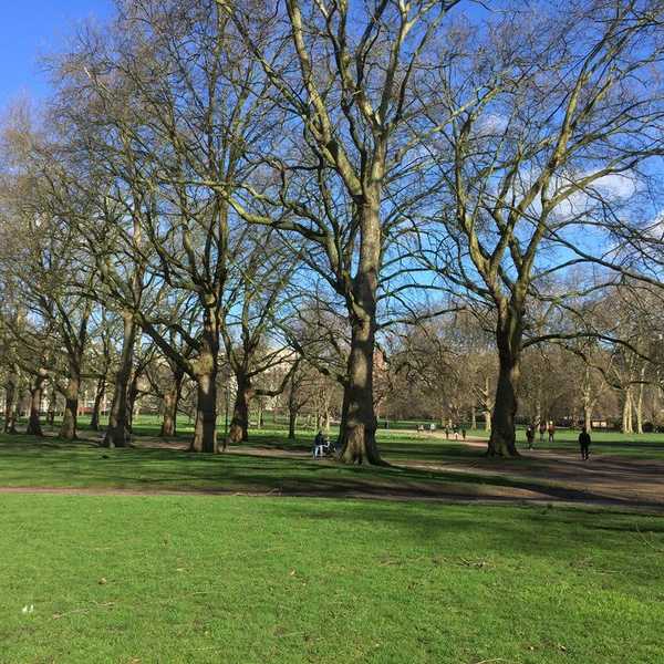 Ari's Adventures Abroad: Week 8